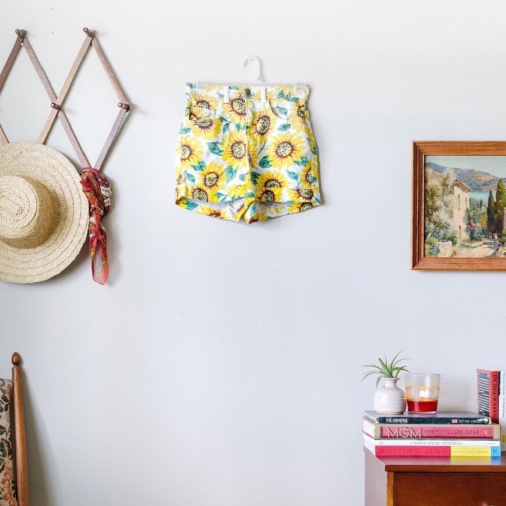 American apparel Sunflower shorts